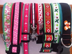 Prodám více obojků